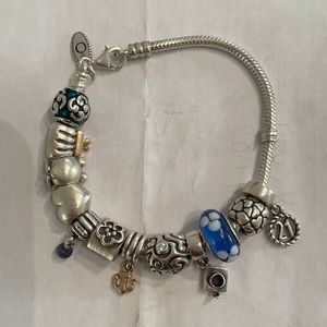 Pandora Charms Set of 10